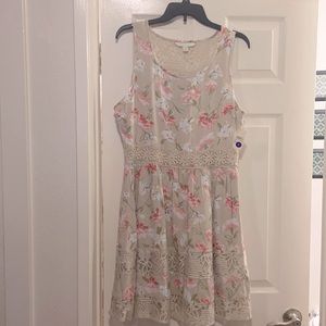 Lauren Conrad (Kohl’s) dress